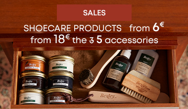 Shoe care products