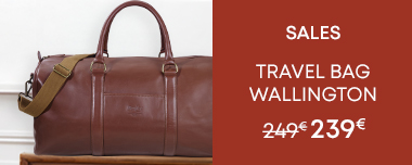 Brown leather Travel Bag
