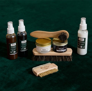 Shoe care kit with brushes