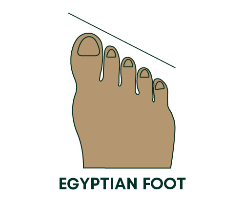 Egyptian foot