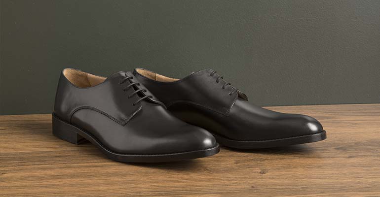 Leather shoe care