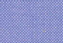 Pinpoint shirt Bexley