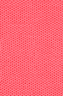 Hight Cotton fabric Polo Bexley