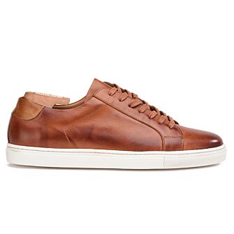 Patina Chestnut Men's leather Trainers Inglewood | Bexley
